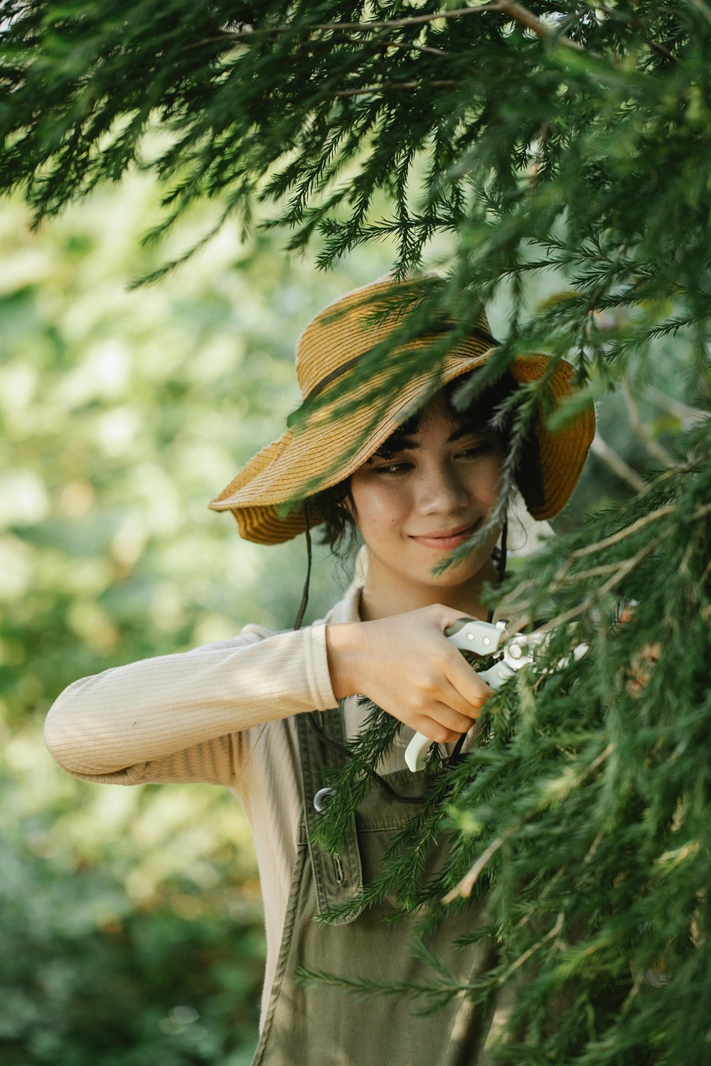 Do tree removal companies need to be licensed in Mesa, Arizona?